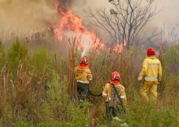 Corrientes sigue en emergencia por los incendios y se reforzó la gestión por ayuda