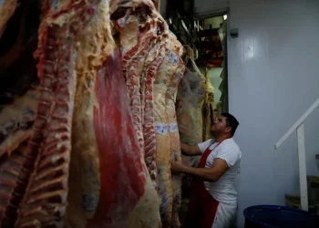 Inflación en alimentos: advierten que la carne podría subir entre un 10% y un 15% en los próximos días