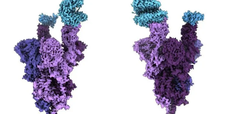 De todas las variantes del coronavirus, con Ómicron hay más posibilidad de reinfección por COVID-19
