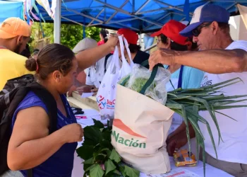 El Gobierno proyecta gastar en los dos primeros meses del año 88 mil millones de pesos en programas sociales