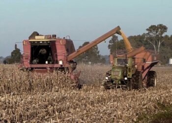 La soja mantuvo el liderazgo en materia de exportaciones, seguido por el complejo maicero