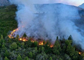 Permanece activo el foco de incendio forestal en Bariloche