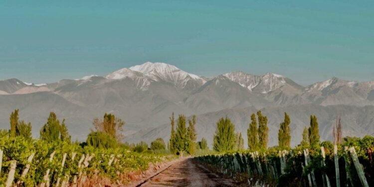 Se viene el primer Encuentro Regional del Turismo del Vino