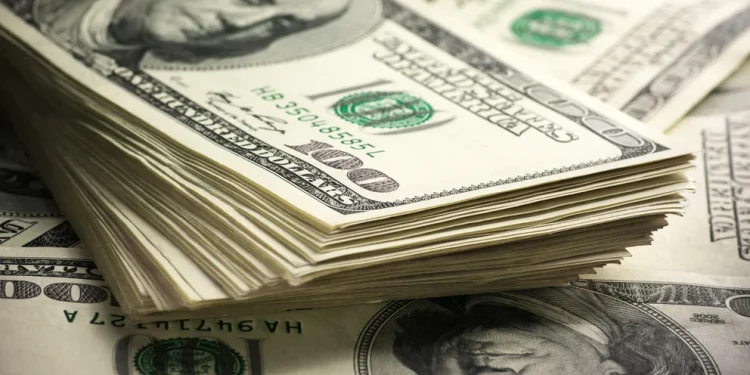 Gabriela Cerruti: “No hay ningún tipo de cepo o de restricción que esté pensando el Gobierno”