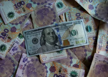 Los inversores se despegan de los bonos de la deuda en pesos y se inclinan por los títulos en dólares