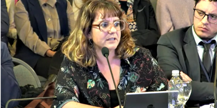 La Argentina reconoció su responsabilidad internacional por la impunidad en la causa AMIA y admitió encubrimientos