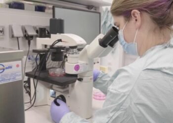 Grupo Techint promueve investigación sobre vacunación Anti-Covid en 3 continentes