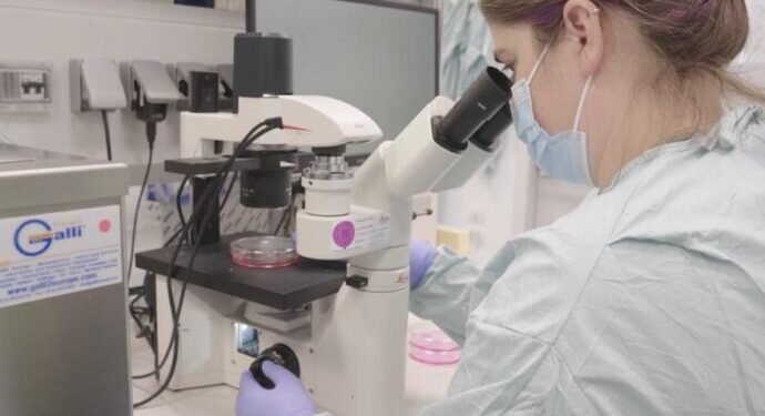 Grupo Techint promueve investigación sobre vacunación Anti-Covid en 3 continentes