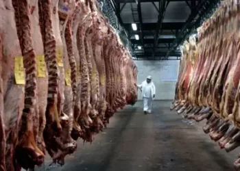 Se enviaron al exterior casi 700.000 toneladas en el año por US$ 2.122 millones.