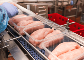 Cae el consumo de carne bovina en la Argentina
