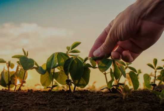 Cuánto le costará al Gobierno la baja de las retenciones al campo