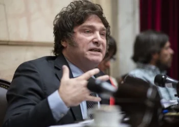 Debate legislativo: Post de Milei