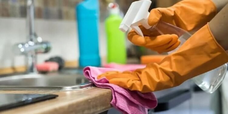 Empleadas domésticas: Pagos en junio