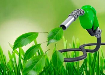 Biocombustibles autorizados para transporte acuático.