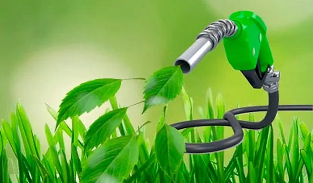 Biocombustibles autorizados para transporte acuático.