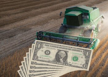 El agro: retenciones mixtas para los cereales.