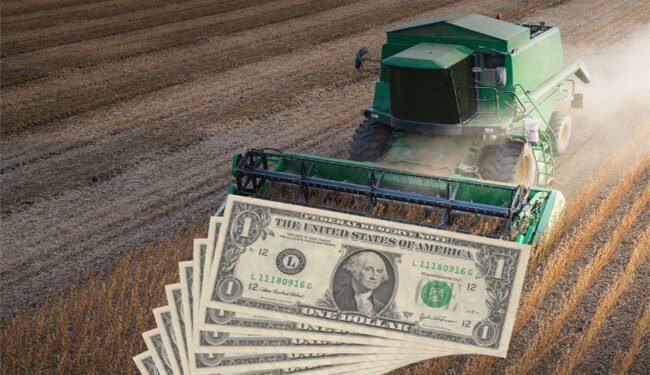 El agro: retenciones mixtas para los cereales.