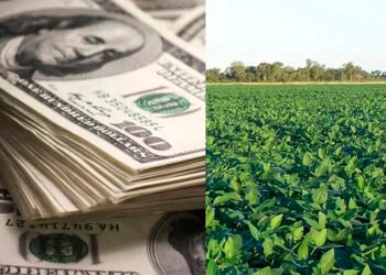 Pacto EEUU-Vietnam: Exportaciones agrícolas bajo amenaza.