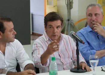 Elecciones en Misiones: Oficialismo gana, LLA 2do, sorpresa tercera