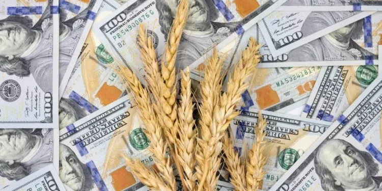 Liquidaciones de dólares: incertidumbre en el agro.