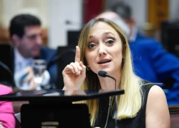 Anabel Fernández Sagasti: defensa del Senado y crítica al Gobierno.