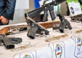 Ariel Sujarchuk presentó proyectos de ley contra la reiterancia de detenidos y para frenar la venta libre de armas semiautomáticas