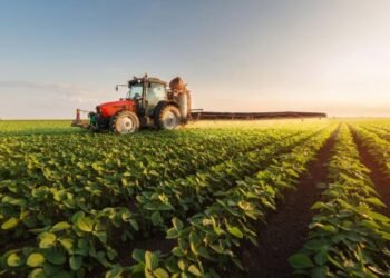 Fin de retenciones: El campo exportó U$S 7 mil millones.
