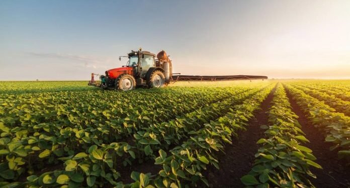 Fin de retenciones: El campo exportó U$S 7 mil millones.