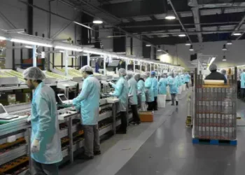 El sector privado perdió 12.000 puestos en junio.