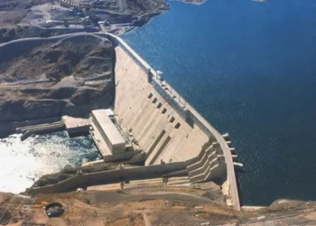Hidroeléctricas: el camino de la privatización