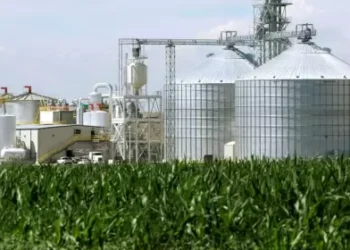 Bioenergía: la ley de biocombustibles genera pérdidas.