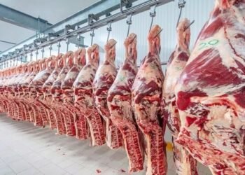 El mercado de carne argentina en EEUU podría crecer 400%
