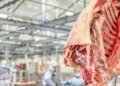 Carne: Gran negocio con EEUU por u$s300 millones.
