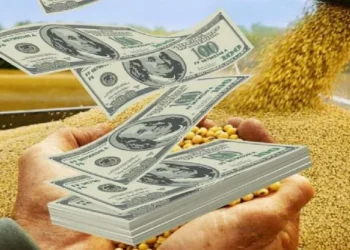 Dólar: Preocupación por el desplome de liquidaciones en octubre.