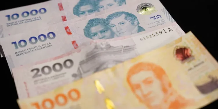 La remonetización en la mira: ¿éxito de deuda privada?