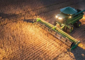 Trigo y dólares: la balanza se equilibra con la alta producción.