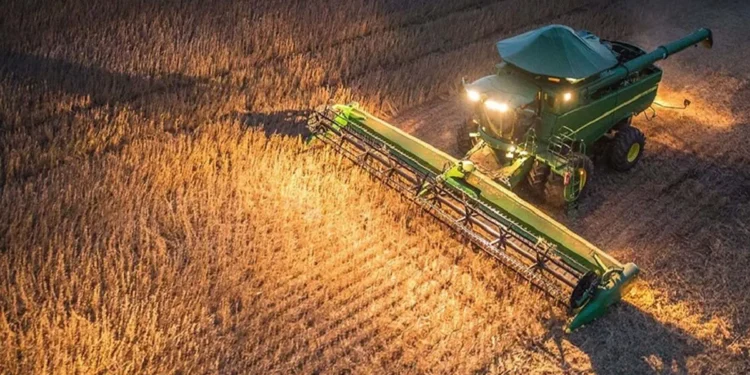 Trigo y dólares: la balanza se equilibra con la alta producción.