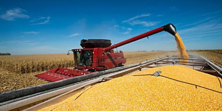 Baja impositiva para granos, anuncia el Gobierno.