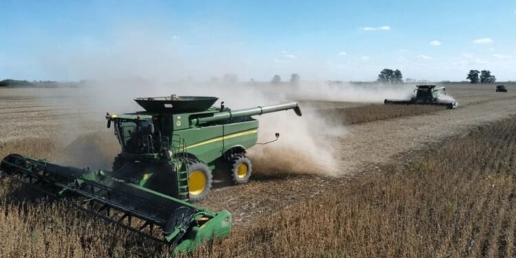 Menos retenciones: el detalle oficial para granos.