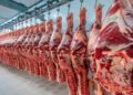 Habilitan el registro para vender carne argentina a Estados Unidos.
