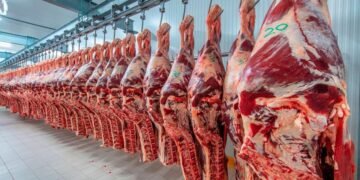 Habilitan el registro para vender carne argentina a Estados Unidos.