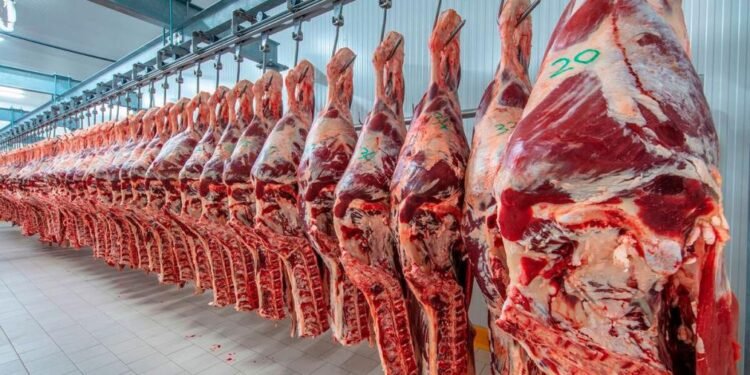 Habilitan el registro para vender carne argentina a Estados Unidos.