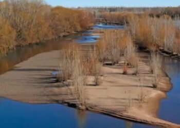 Sequía: Declaran desastre y emergencia en Neuquén.