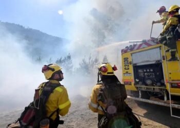 Incendios: Instan a declarar emergencia en Chubut.