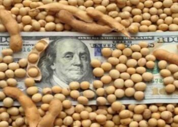 Balanza comercial: Granos y combustibles, el soporte de las importaciones.