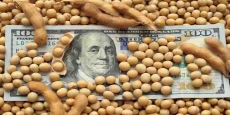 Balanza comercial: Granos y combustibles, el soporte de las importaciones.