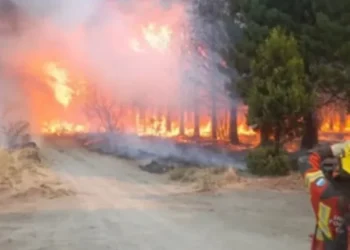 Ley de Emergencia Ígnea: Insistencia de gobernadores sureños.