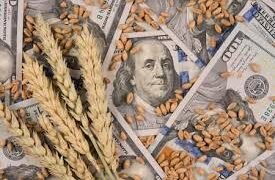 Récord en enero: Fuerte alza del 82% en divisas del campo.