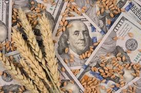 Récord en enero: Fuerte alza del 82% en divisas del campo.