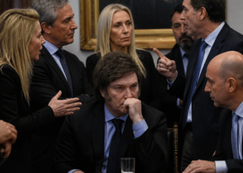 La Libertad Avanza: Un Análisis de la Divisoria Interna en el Gabinete de Javier Milei